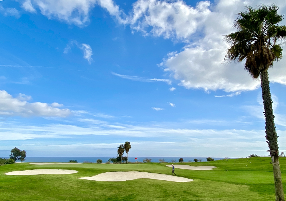 Quinta da ria