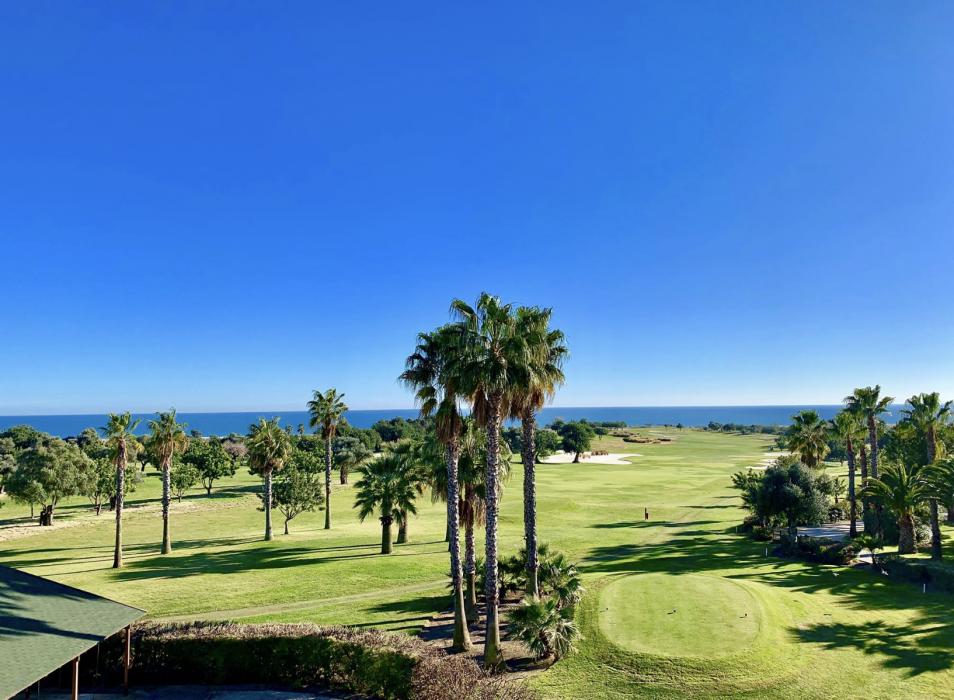 Quinta da ria